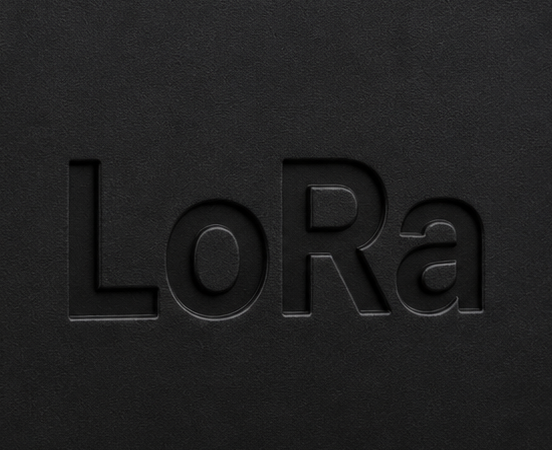 LoRa 無線
